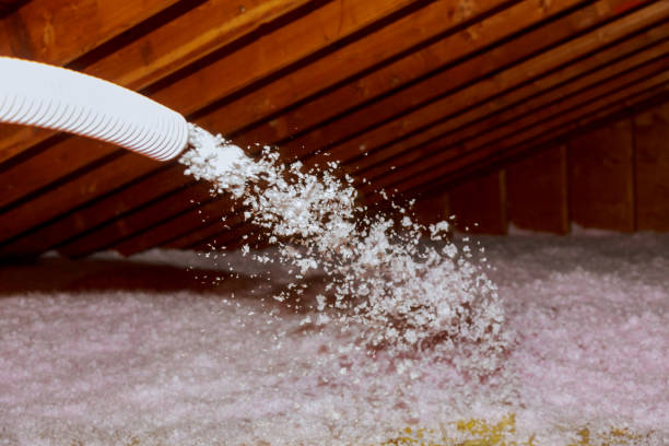 Best Insulation Installation Services in Ragland, AL