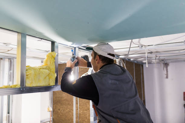 Best Residential Insulation in Ragland, AL