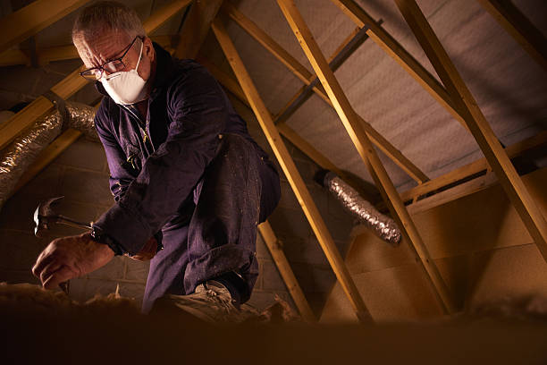 Best Specialty Insulation in Ragland, AL